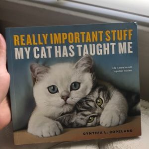 Book about Cats😻